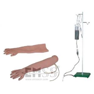 Modell für Venenpunktion und intramuskulären Injektionsarm